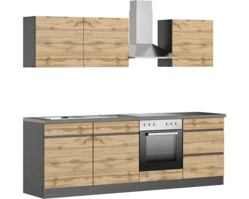 Küchenzeile mit Spüle, Herd, Backofen, Dunstabzugshaube und Hängeschränken