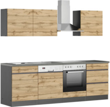 Küchenzeile mit Ober- und Unterschränken, Herd, Spülmaschine und Dunstabzugshaube