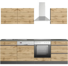 Küchenzeile mit Küchenschränken, Spüle, Geschirrspüler, Herd und Dunstabzugshaube