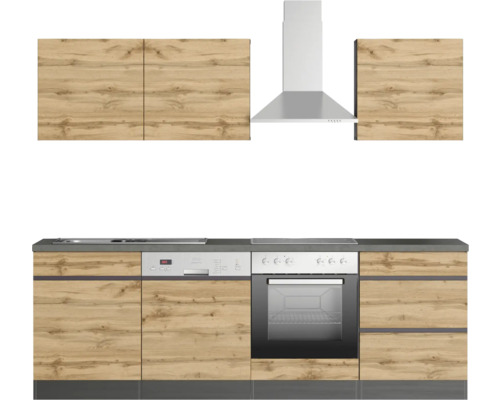 Küchenzeile mit Küchenschränken, Spüle, Geschirrspüler, Herd und Dunstabzugshaube