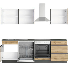 Küchenzeile mit Spülmaschine, Backofen, Dunstabzugshaube und Schränken