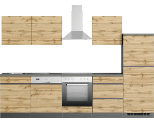 Küchenzeile mit Spüle, Geschirrspüler, Backofen, Kochfeld, Dunstabzugshaube und Hängeschränken