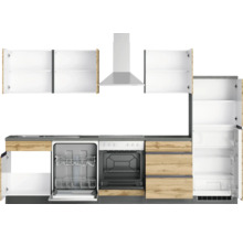 Komplette Küche mit Hängeschränken, Dunstabzugshaube, Geschirrspüler, Backofen und Kühlschrank.