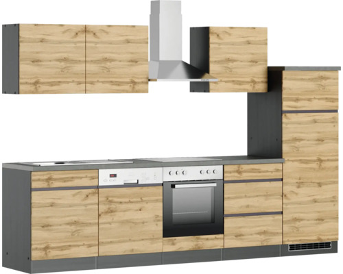 Komplette Küche mit Hängeelementen, Dunstabzugshaube, Spüle, Geschirrspüler, Herd und Backofen