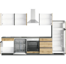 Moderne Küche mit Einbaugeräten, Arbeitsplatte und Hängeschränken