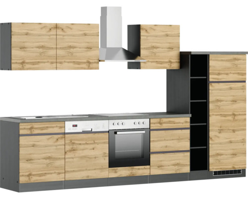 Komplette Küchenzeile mit Hängeschränken, Dunstabzugshaube, Spüle, Herd, Backofen und Geschirrspüler
