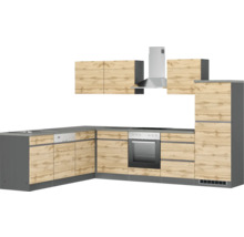 Komplette Küche mit Einbauschränken, Spüle, Geschirrspüler, Herd, Backofen und Dunstabzugshaube