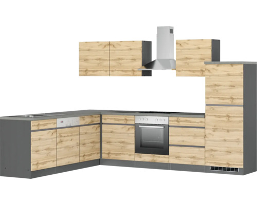 Komplette Küche mit Einbauschränken, Spüle, Geschirrspüler, Herd, Backofen und Dunstabzugshaube