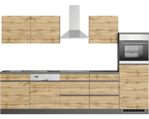 Komplette Küche mit Küchenschränken, Dunstabzugshaube, Spülmaschine und Einbaubackofen