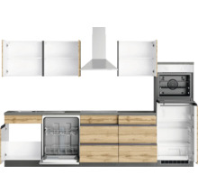 Komplette Küche mit Spülmaschine, Backofen, Kühlschrank, Dunstabzugshaube und Hängeschränken