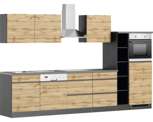 Küchenzeile mit Spüle, Geschirrspüler, Herd, Dunstabzugshaube und Backofen