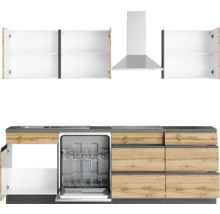 Moderne Küche mit Spülmaschine, Dunstabzugshaube und Hängeschränken