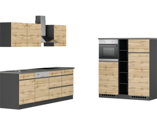 Küchenzeile mit Hängeschränken, Dunstabzugshaube, Spüle, Kochfeld, Geschirrspüler und Einbaubackofen