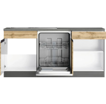 Küchenzeile mit Geschirrspüler und Stauraum