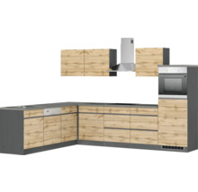 Einbauküche mit Spüle, Geschirrspüler, Kochfeld, Backofen und Dunstabzugshaube