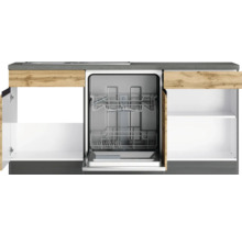 Einbauküche mit Geschirrspüler und offenen Schränken.