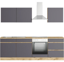 Küchenzeile mit Spüle, Kochfeld, Backofen und Dunstabzugshaube