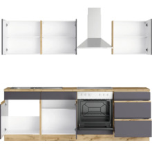 Küchenzeile mit Spüle, Kochfeld, Backofen und Dunstabzugshaube