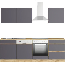 Küchenzeile mit Spüle, Geschirrspüler, Herd, Backofen, Dunstabzugshaube und Schränken