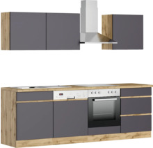 Moderne Küche mit Dunstabzugshaube, Spüle, Kochfeld, Geschirrspüler, Backofen und Hängeschränken