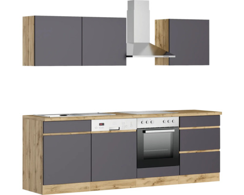 Moderne Küche mit Dunstabzugshaube, Spüle, Kochfeld, Geschirrspüler, Backofen und Hängeschränken