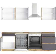 Küchenzeile mit Spülmaschine, Herd, Dunstabzugshaube und Hängeschränken in moderner Optik