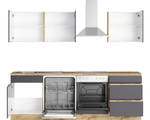 Küchenzeile mit Spülmaschine, Herd, Dunstabzugshaube und Hängeschränken in moderner Optik