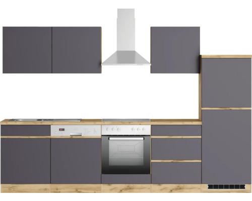 Moderne Küche mit Dunstabzugshaube, Geschirrspüler und Einbaubackofen