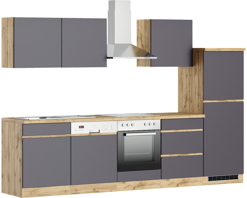 Küchenzeile mit Spüle, Geschirrspüler, Herd, Backofen, Dunstabzugshaube und Hängeschränken