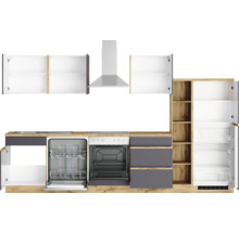 Küchenzeile mit Spüle, Geschirrspüler, Backofen, Dunstabzugshaube und Kühlschrank