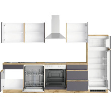 Komplette Küche mit Spüle, Herd, Dunstabzugshaube, Geschirrspüler und Kühlschrank