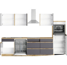 Küchenzeile mit Spülmaschine, Herd, Dunstabzugshaube, Kühlschrank und Hängeschränken