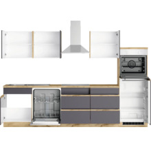 Komplette Küchenzeile mit Schränken, Geschirrspüler, Herd, Dunstabzugshaube und Kühlschrank