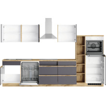 Küchenzeile mit Spülmaschine, Kühlschrank, Backofen und Dunstabzugshaube