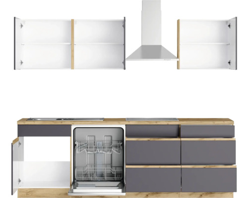 Küchenzeile mit Geschirrspüler, Dunstabzugshaube und Hängeschränken