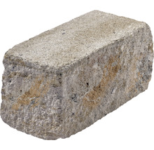 Grauer Pflasterstein
