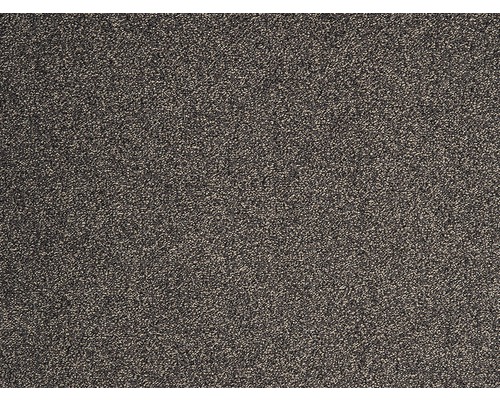 Teppichboden Frisé Evolve dunkelgrau 500 cm breit (Meterware)