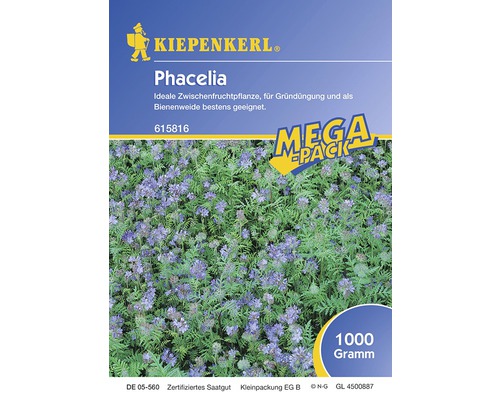 Gründünger Kiepenkerl 'Phacelia' 1 kg