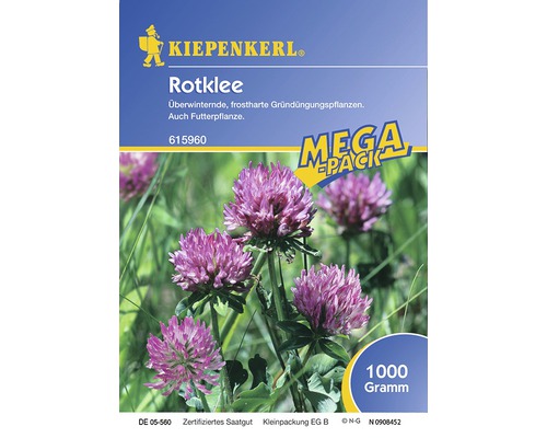 Gründünger Kiepenkerl 'Rotklee' 1 kg