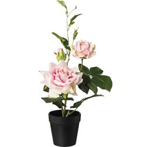 Künstliche Rose im Topf als Dekoration