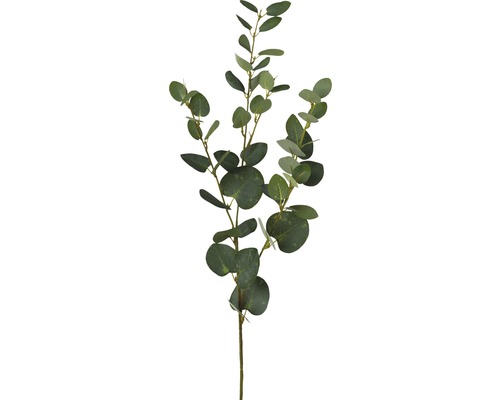 Kunstblume Eukalypthuszweig Höhe: 76 cm grün