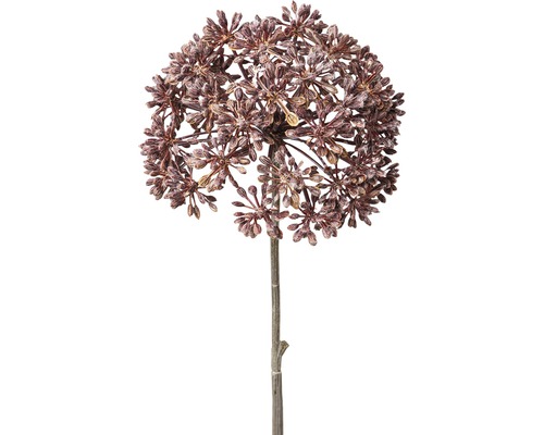 Kunstblume Angelica geeist Höhe: 43 cm bordeaux