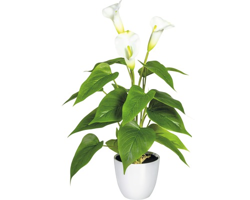 Kunstpflanze Calla im Topf Höhe: 44 cm weiß