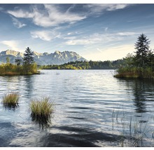 Landschaft mit See, Bäumen und Bergen