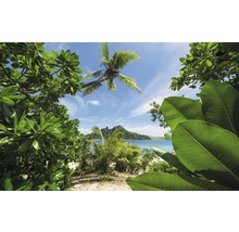 Fototapete Vlies SHX9-106 Cast Away Jungle  9-tlg. 450 x 280 cm