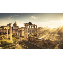 Historische Ruinen und Gebäude des Forum Romanum in Rom bei Sonnenaufgang.
