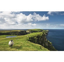 Landschaft mit Klippen, Meer und einem Schaf im Vordergrund