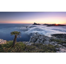 Landschaft mit Meer, Bergen, Wolken und Vegetation bei Sonnenaufgang