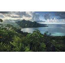 Landschaft mit Bergen, Vegetation und Meer