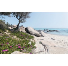 Szene am Strand mit Felsen und Vegetation
